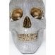 Настольный светильник Skull Crystals Front 44cm S23-38491 31x43,5x31см 54566 фото в дизайне интерьера, фото в живую 5/6