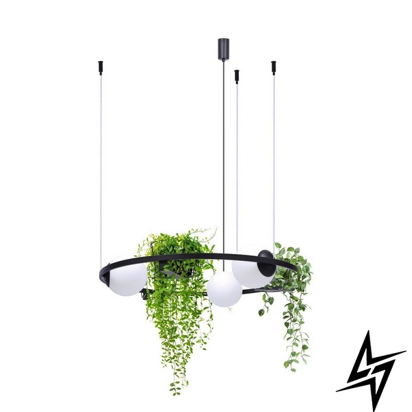 Подвесной светильник Zumaline 5005 Plant  фото в живую, фото в дизайне интерьера