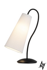 Декоративна настільна лампа NB Lighting Лони 60700-cl116-aba46pe14-ct7903 28622 фото наживо, фото в дизайні інтер'єру