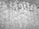Сучасна кришталева люстра Гліцинія D23-39220 602-L1800CH фото в дизайні інтер'єру, фото наживо 4/4