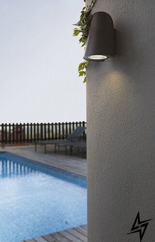 71353 Faro Tinia фото