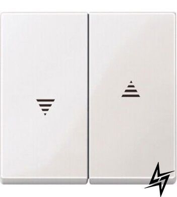 Кнопка подвійна для жалюзі SYSTEM M полярно-білий Schneider Electric Merten MTN432419 фото
