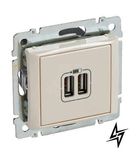USB-розетка Legrand 774170 Valena Classic, бежевая, 2&times;USB, IP20 774170 фото