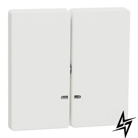 Клавіша 2-а для LED System Design білий матовий Merten MTN3420-6037 фото