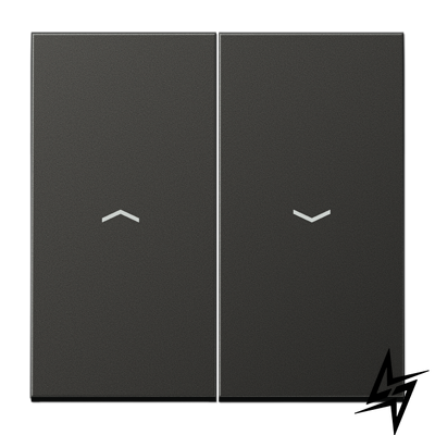 Клавіша для жалюзійного вимикача антрацит LS 990 Jung AL2995PAN фото