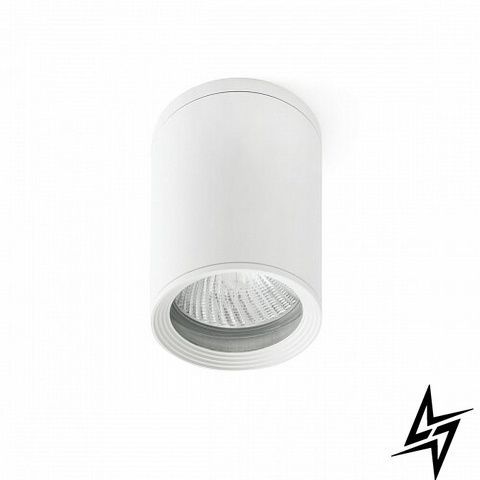 70821 Faro Tasa фото