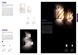 Настенный светильник Ideal Lux Carrara Ap1 619 81121 фото в дизайне интерьера, фото в живую 4/6