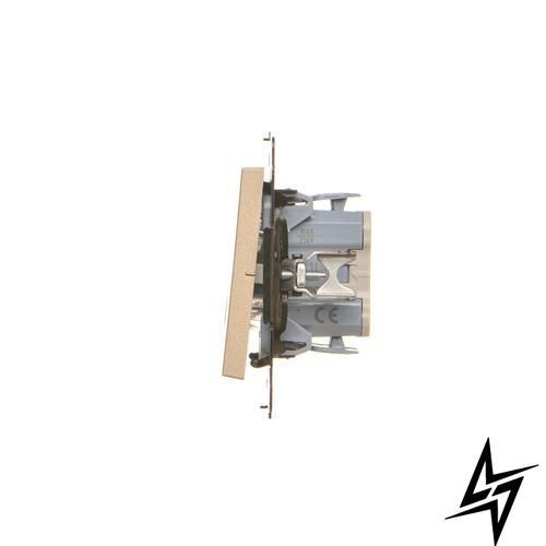1-клавишный выключатель с подсветкой Simon TW1L.01/144 55, шампань матоваяя, 10 AX, 250 В, IP20/IP44 фото