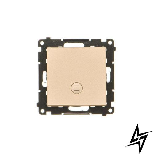 1-клавишный выключатель с подсветкой Simon TW1L.01/144 55, шампань матоваяя, 10 AX, 250 В, IP20/IP44 фото