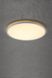 Потолочный светильник Nordlux 47286001 ЛЕД 19907 фото в дизайне интерьера, фото в живую 4/5