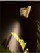 Настенный светильник бра Nova luce Clip 9030203 ЛЕД  фото в дизайне интерьера, фото в живую 1/5