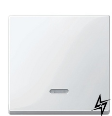 Клавіша вимикача з підсвічуванням SYSTEM M полярно-біла Schneider Electric Merten MTN436019 фото