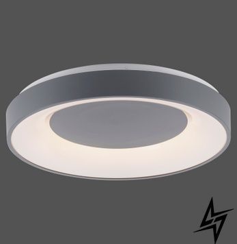 Потолочный светильник Zumaline Anika 14326-18 LED 26,5W 1450Lm 2700-5000K Серый фото