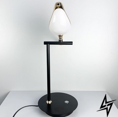 Настільна лампа Bird LE26496 Чорний WT 800/1 фото наживо, фото в дизайні інтер'єру