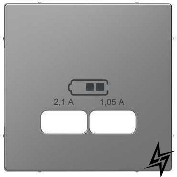 Центральна панель D-Life для USB Нержавіюча сталь Merten MEG4367-6036 фото