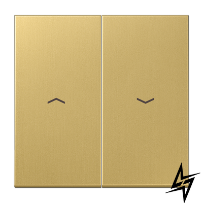 Лицевая панель выключателя жалюзи JUNG ME2995PC LS 990, классическая латунь ME2995PC фото