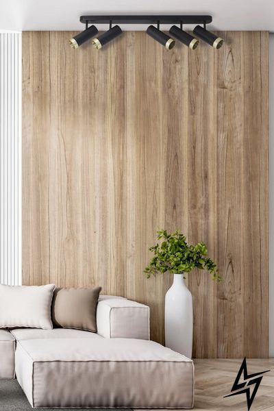 Спот Goldlux Fado 326027 черный 5&times;GU10 326027 фото