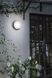 Настінний фасадний вуличний світильник Ideal Lux Urano Pl1 Big Antracite 168135 13241 фото в дизайні інтер'єру, фото наживо 3/5