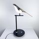 Настольная лампа Bird LE26496 Черный WT 800/1 фото в дизайне интерьера, фото в живую 3/8