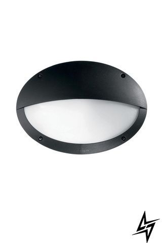 Настенный уличный светильник Ideal Lux Maddi 096728 черный E27 IP66 фото