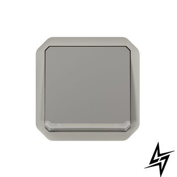 Переключатель 1-кл. 10А/250В с индикацией мех-м. Plexo New серый Legrand 069512L фото