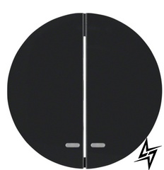 Двухнопочная клавіша вимикача R.x 16272045 з лінзою (чорна) Berker фото