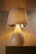 Декоративная настольная лампа TK Lighting Lacrima 5453 49612 фото в дизайне интерьера, фото в живую 2/3