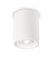 Світильник з гіпсу точковий накладний Ideal Lux Oak Pl1 Round Bianco 150420 13119 фото в дизайні інтер'єру, фото наживо 2/6