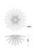 Люстра Zumaline Urchin C0491-06B-F7DY золото 6&times;G9 C0491-06B-F7DY - зображення 2
