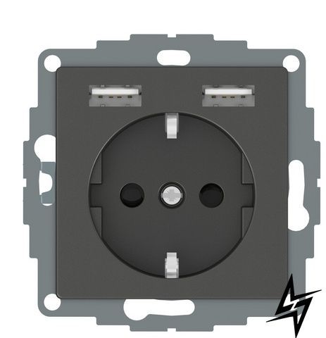USB розетка Schuko Schneider Electric Merten System M MTN2366-0414 2 USB антрацит фото