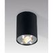 Точечный накладной светильник Zumaline Rondoo Sl 1 20038-BK 18577 фото в дизайне интерьера, фото в живую 5/5