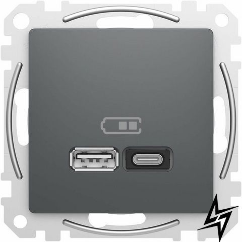 Розетка USB Schneider Electric SDD114404 Sedna Design черный IP20 пластик фото