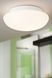 Точечный накладной светильник Eglo Ella 81635 36551 фото в дизайне интерьера, фото в живую 3/5