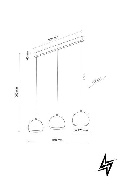 Люстра TK Lighting Zoe 10169 на 3 лампи E27 чорний 125 &times; 81 &times; 17 см фото