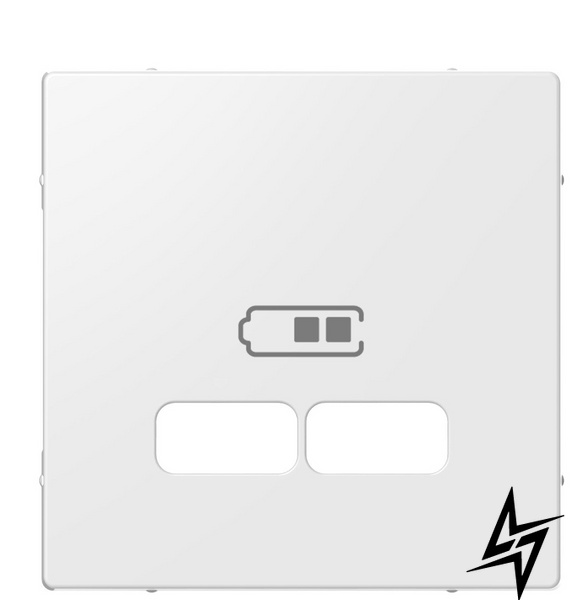 Накладка USB розетки Schneider Electric Merten System M MTN4367-0319 полярно белый фото