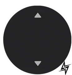 Одинарна клавіша вимикача R.x 16202005 з символом «Стрілки» (чорна) Berker фото
