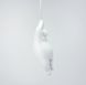 Дивовижна серія Bear Balloons Flush Mount LE25605 1xE27 55x25см Білий SGJ 10 фото в дизайні інтер'єру, фото наживо 2/16