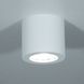 Накладной точечный светильник Imperium Light Lily 47018.01.01  фото в дизайне интерьера, фото в живую 1/3