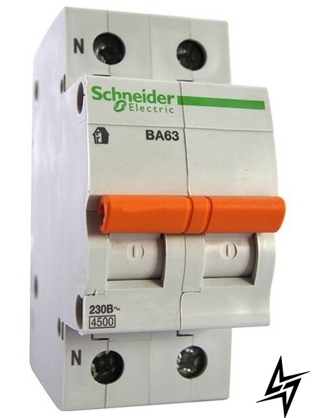 Автоматический выключатель Schneider Electric 11219 Домовой 2P 63A C 4,5kA фото