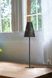 Декоративная настольная лампа Nowodvorski Trifle 8077 49767 фото в дизайне интерьера, фото в живую 2/2