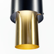 Подвесной светильник Etna LE26256 1xE27 15x40см Черный MJ 21 BK+GD фото в дизайне интерьера, фото в живую 5/6