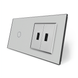 Сенсорний вимикач 1 сенсор 2 USB Livolo сірий скло (VL-C701/2USB-15) VL-C701/2USB-15 фото
