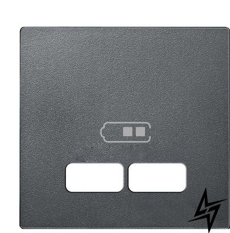 Накладка USB розетки Schneider Electric Merten System M MTN4367-0414 антрацит фото