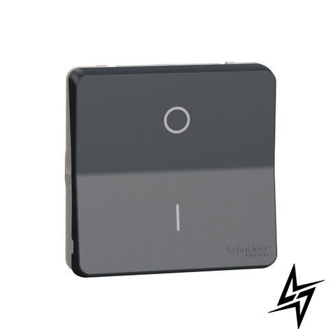 Механизм переключателя двухполюсный IP55 черный Schneider Electric Mureva Styl MUR35034 фото