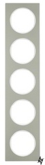 Пятиместная рамка R.3 10152214 (нержавеющая сталь/полярная белизна) Berker фото