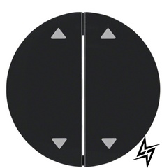 Двухнопочная клавиша выключателя R.x 16442045 с символом «Стрелка» (черная) Berker фото