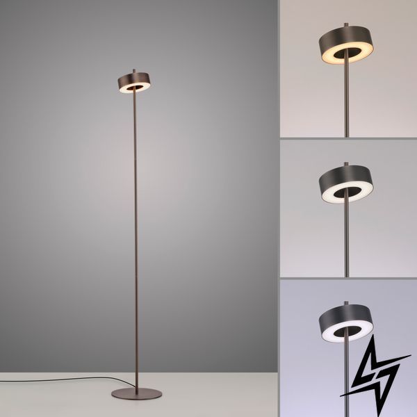 Торшер Paul Neuhaus Q-Rotate 324-34 LED 9W 440Lm 2700-5000K Коричневый фото
