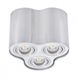 Точечный накладной светильник Kanlux Bord 25802 95262 фото в дизайне интерьера, фото в живую 1/6