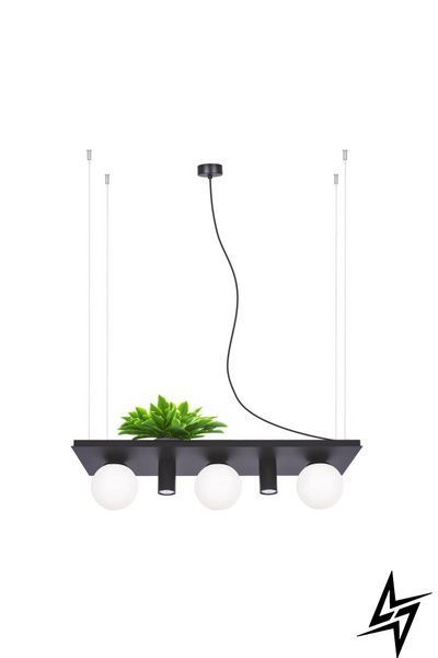 Люстра Zumaline Plant Shelf 5555 на 3 лампы E14, черная, 80 &times; 120 &times; 25 см фото