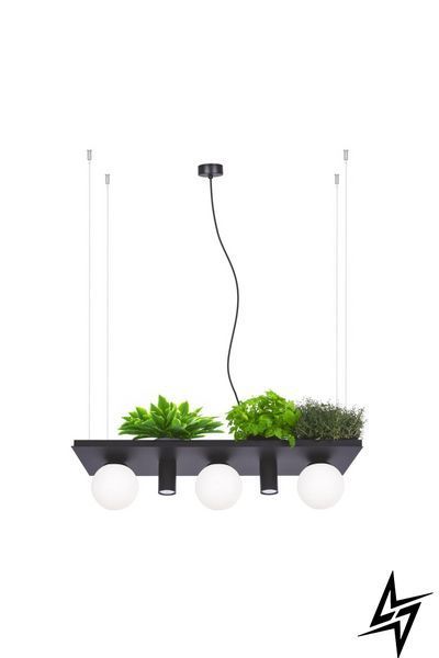 Люстра Zumaline Plant Shelf 5555 на 3 лампы E14, черная, 80 &times; 120 &times; 25 см фото